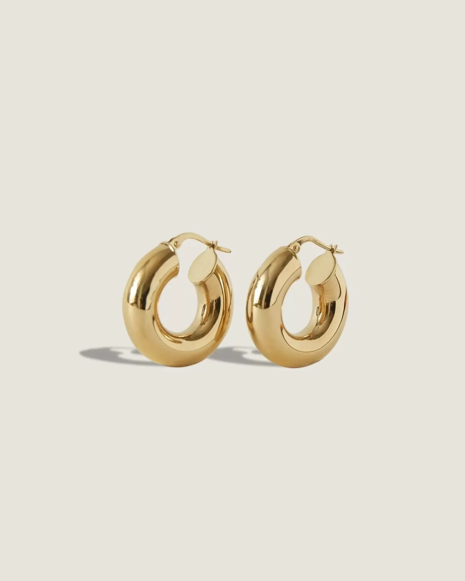 Hot Bold Hoops Earrings